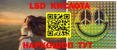 PSILOCYBIN Пугачёв