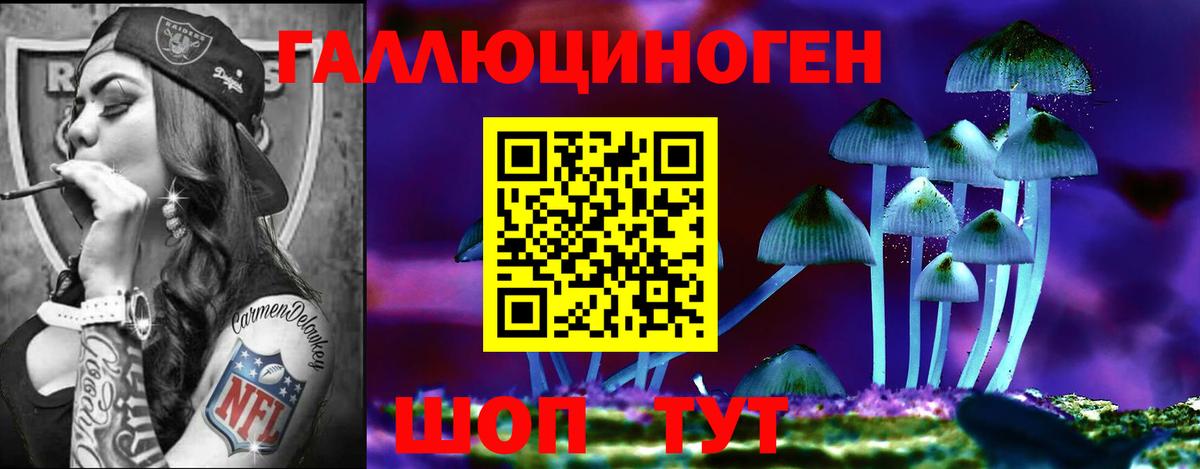 Галлюциногенные грибы MAGIC MUSHROOMS  Галлюциногенные грибы MAGIC MUSHROOMS  Новокубанск  Вход с VPN 