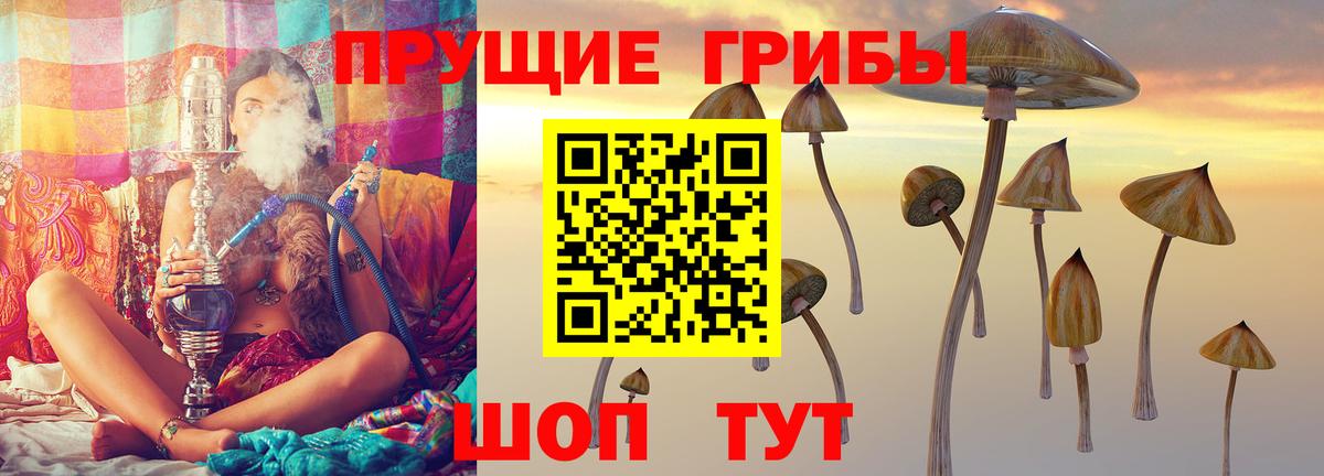 Псилоцибиновые грибы Magic Shrooms Новокубанск